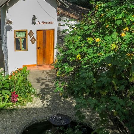 Finca Los Abuelos - La Planta Concepcion Εξωτερικό φωτογραφία